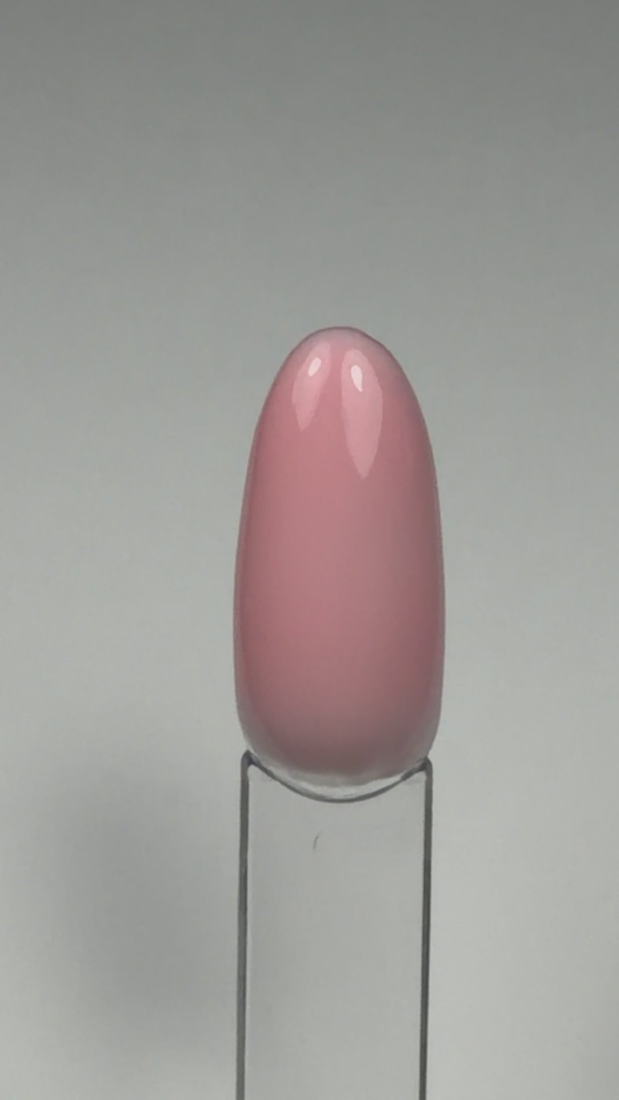 Extra Base N°06