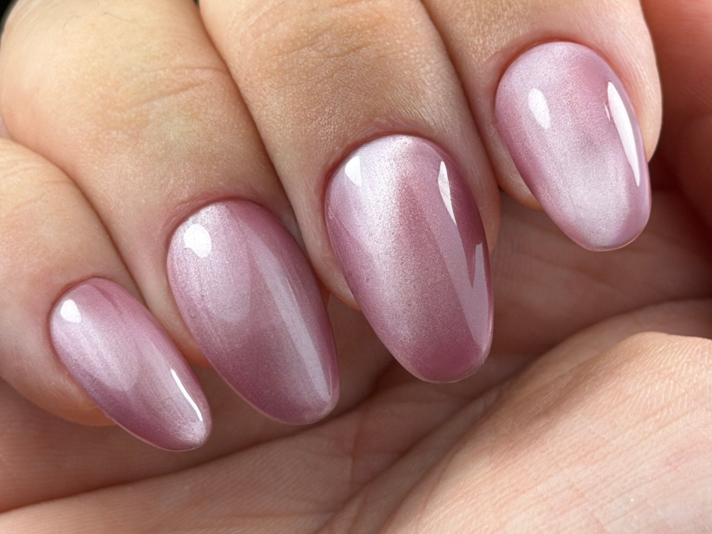 Cat Eye ALBA
