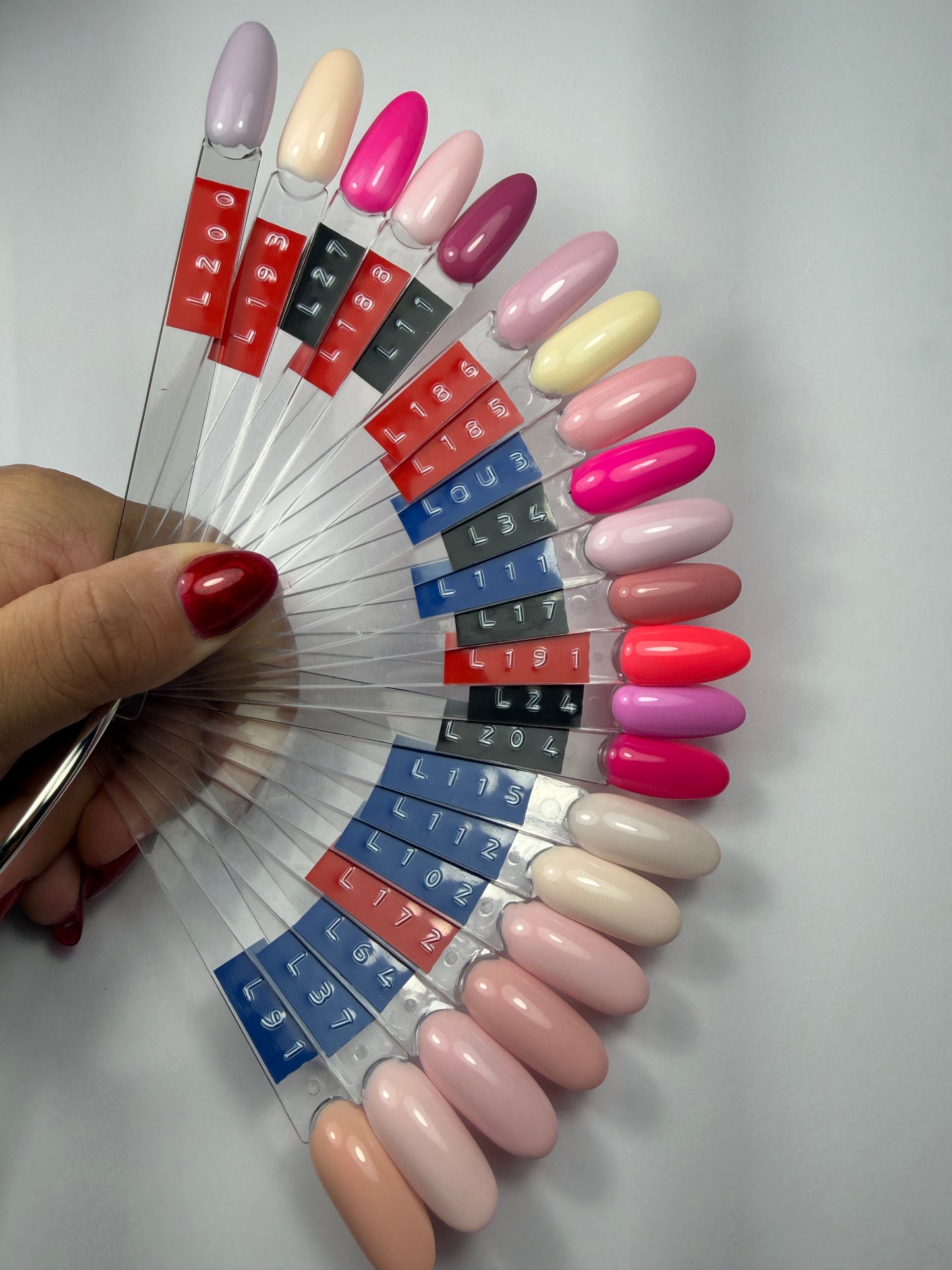 Unies (Couleur au choix)