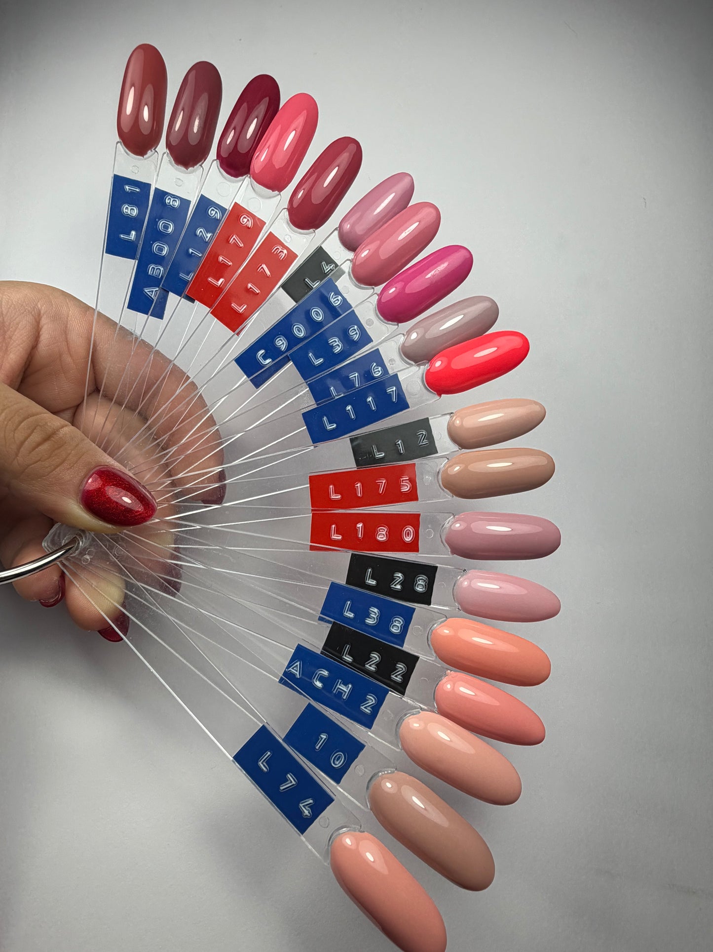 Unies (Couleur au choix)