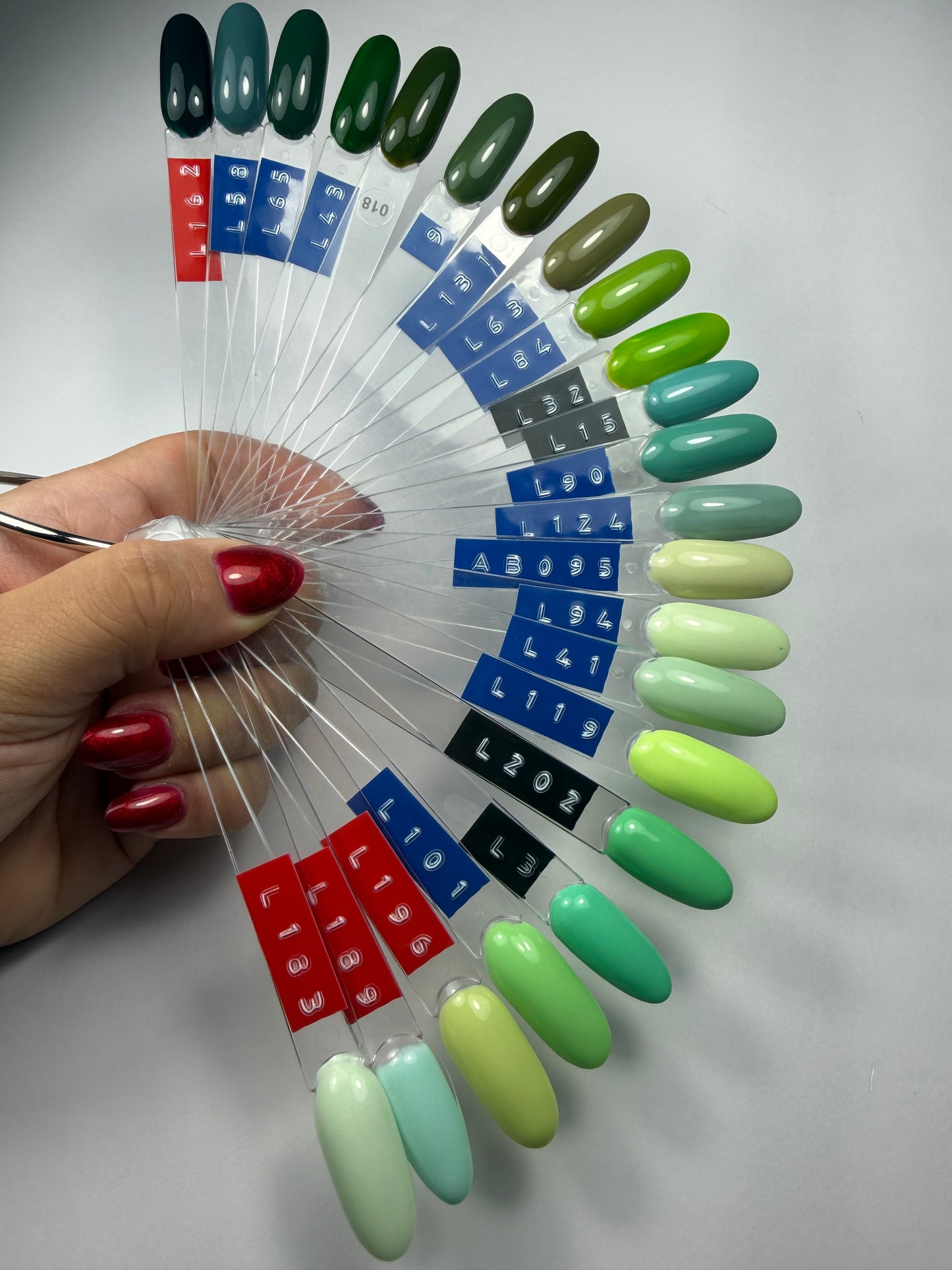 Unies (Couleur au choix)