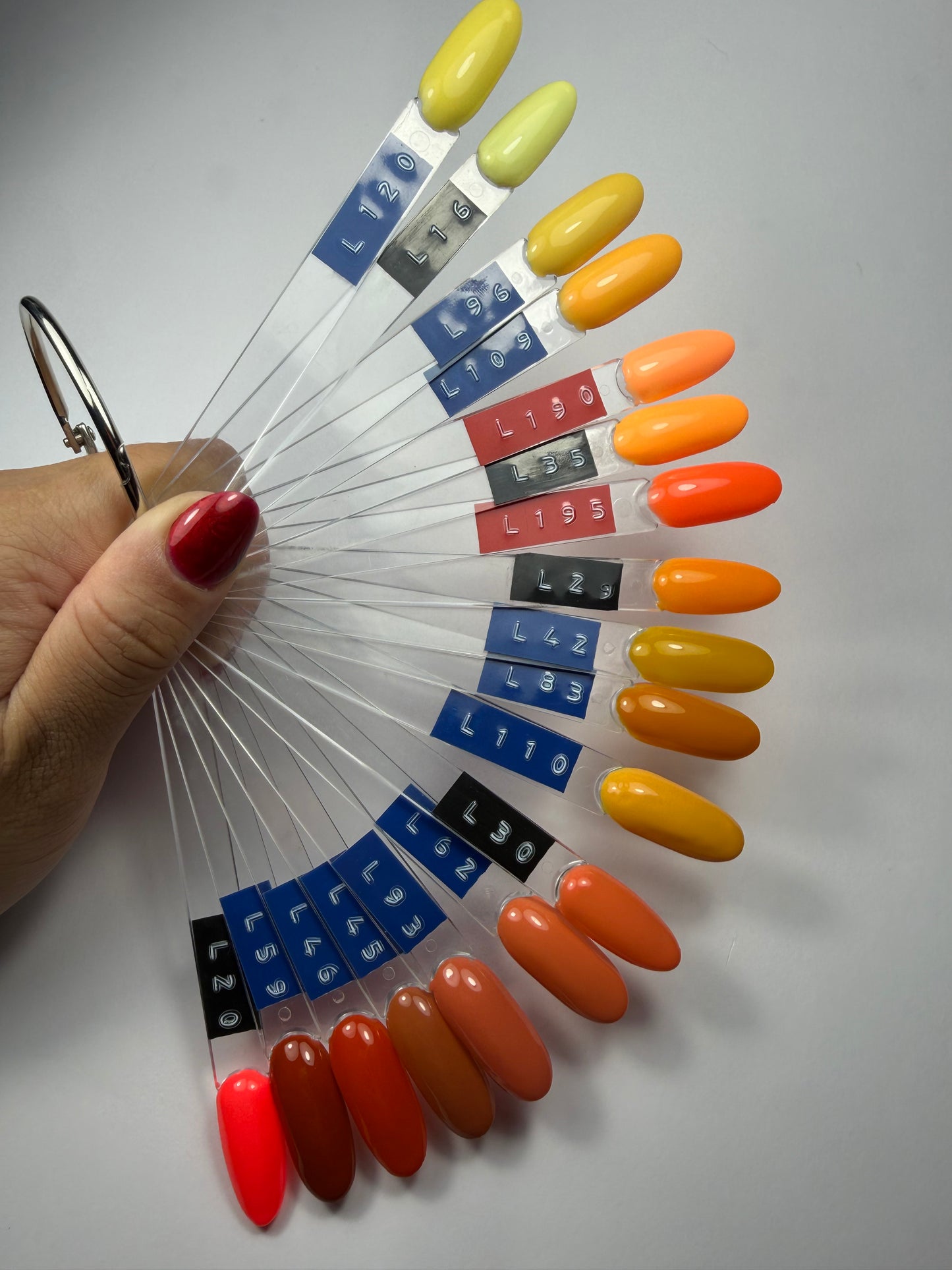 Unies (Couleur au choix)