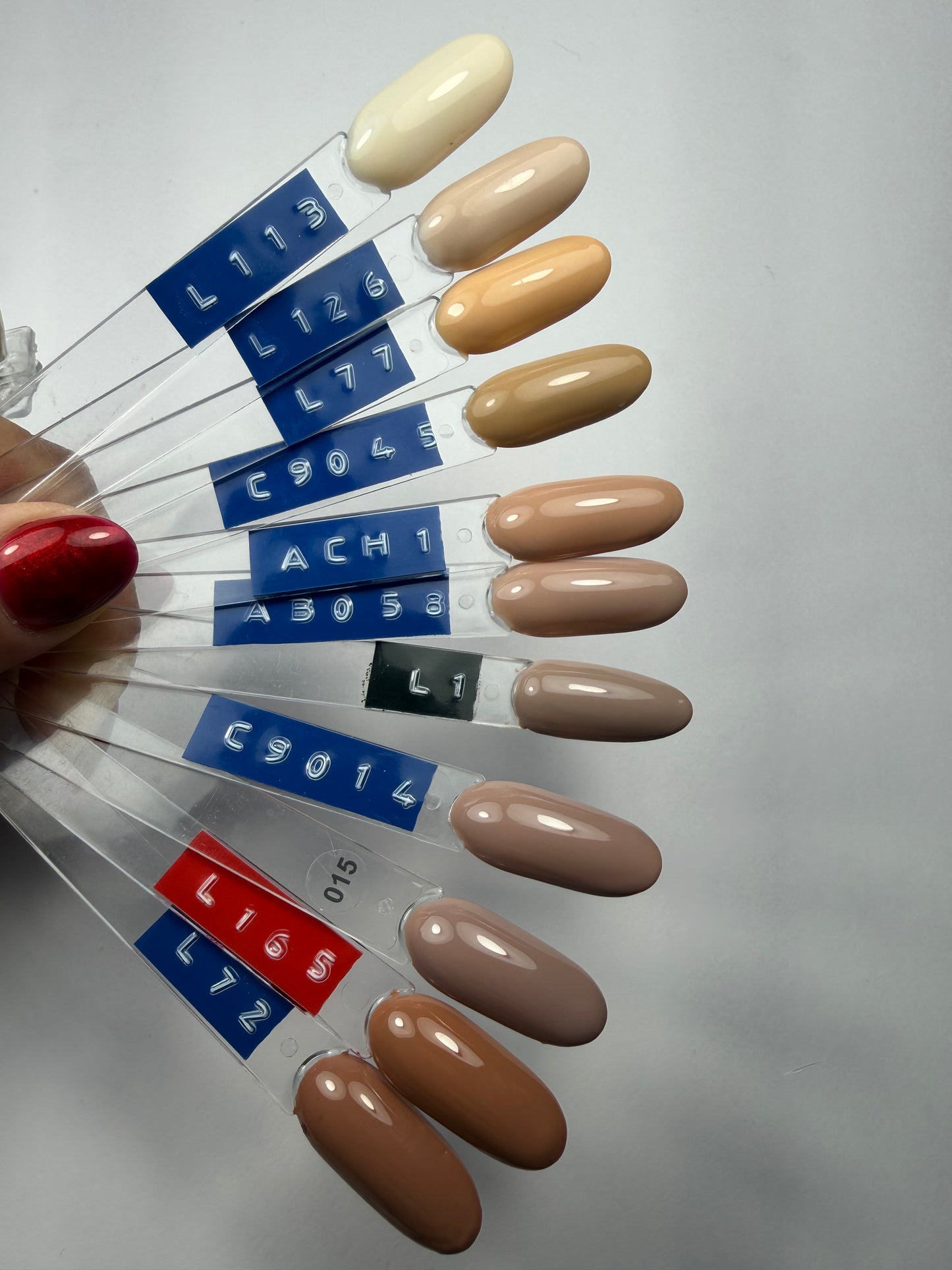 Unies (Couleur au choix)