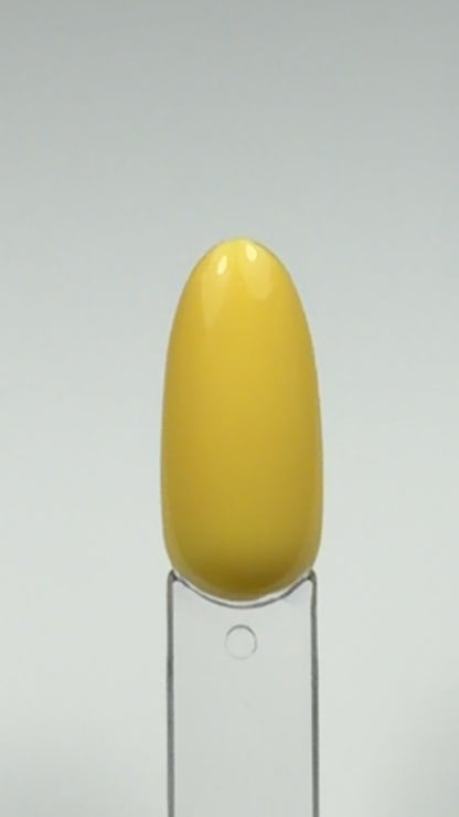Gel Polish N°10