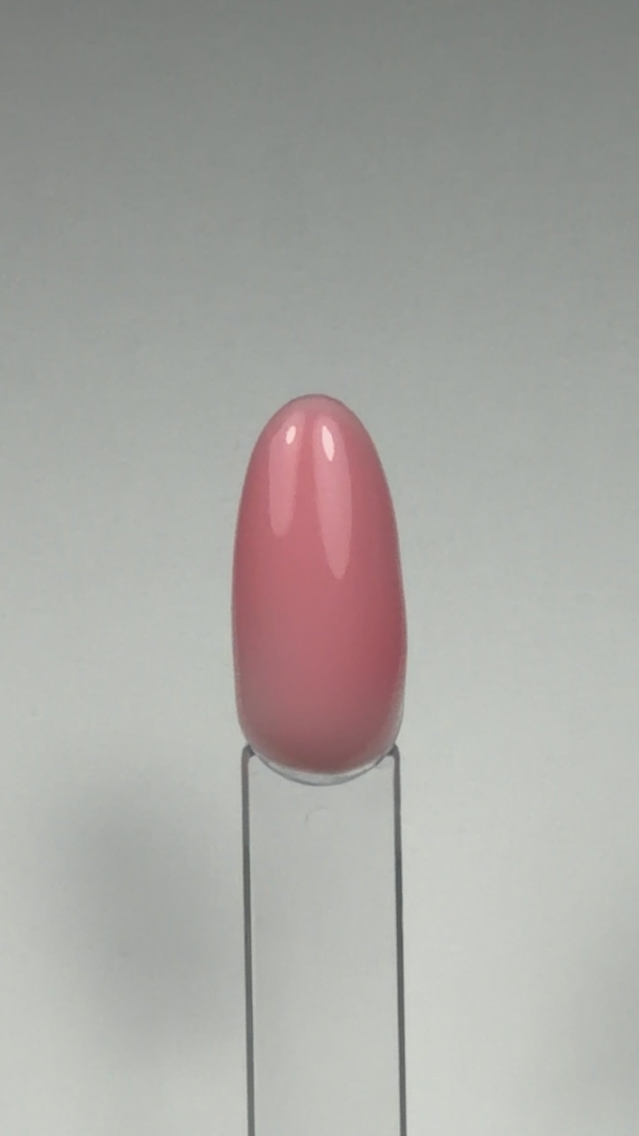 Extra Base N°05